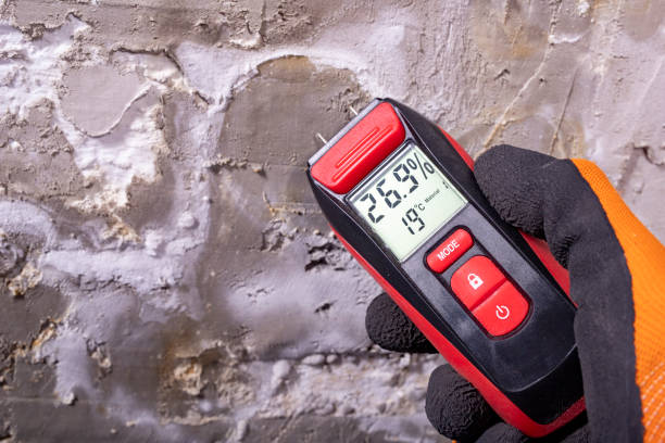 Best Professional Mold Removal  in Blue Hills, CT