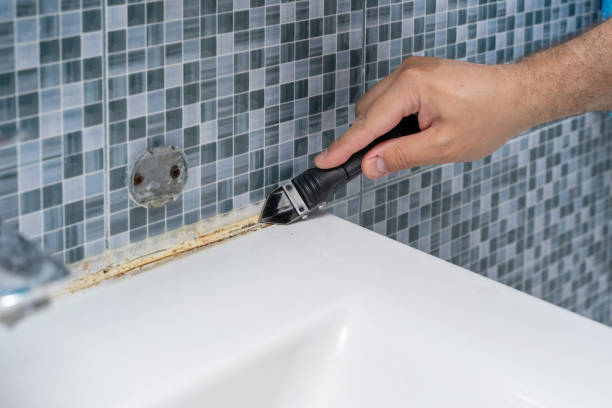 Best Professional Mold Removal  in Blue Hills, CT