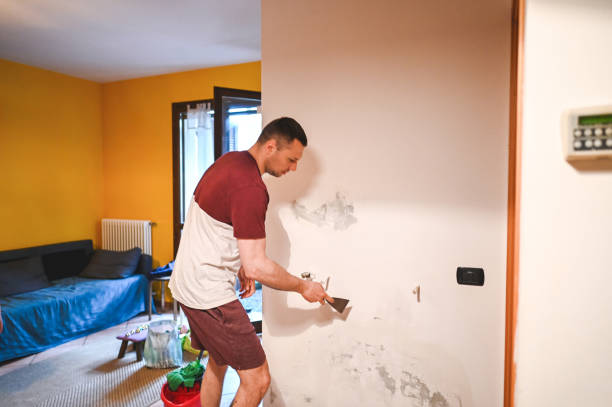 Best Office Mold Removal Services  in Blue Hills, CT